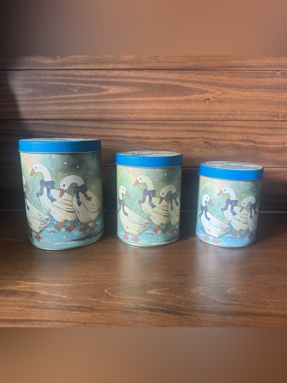 Cottage core country goose tin canister set 🪿💙